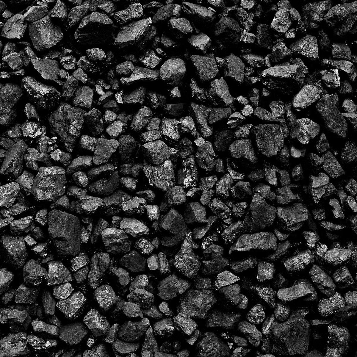 ANMAG Steinkohle 5–25 mm – Palette 1000 kg (50 × 20-kg-Säcke)